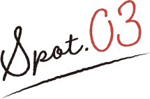 Spot03